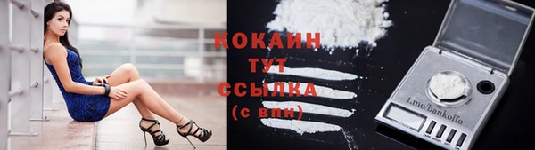 2c-b Куйбышев