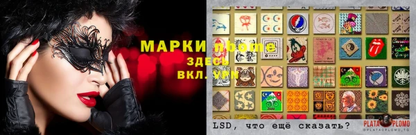 гашик Кукмор