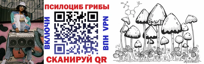 Купить  Миньяр  Псилоцибиновые грибы мухоморы 